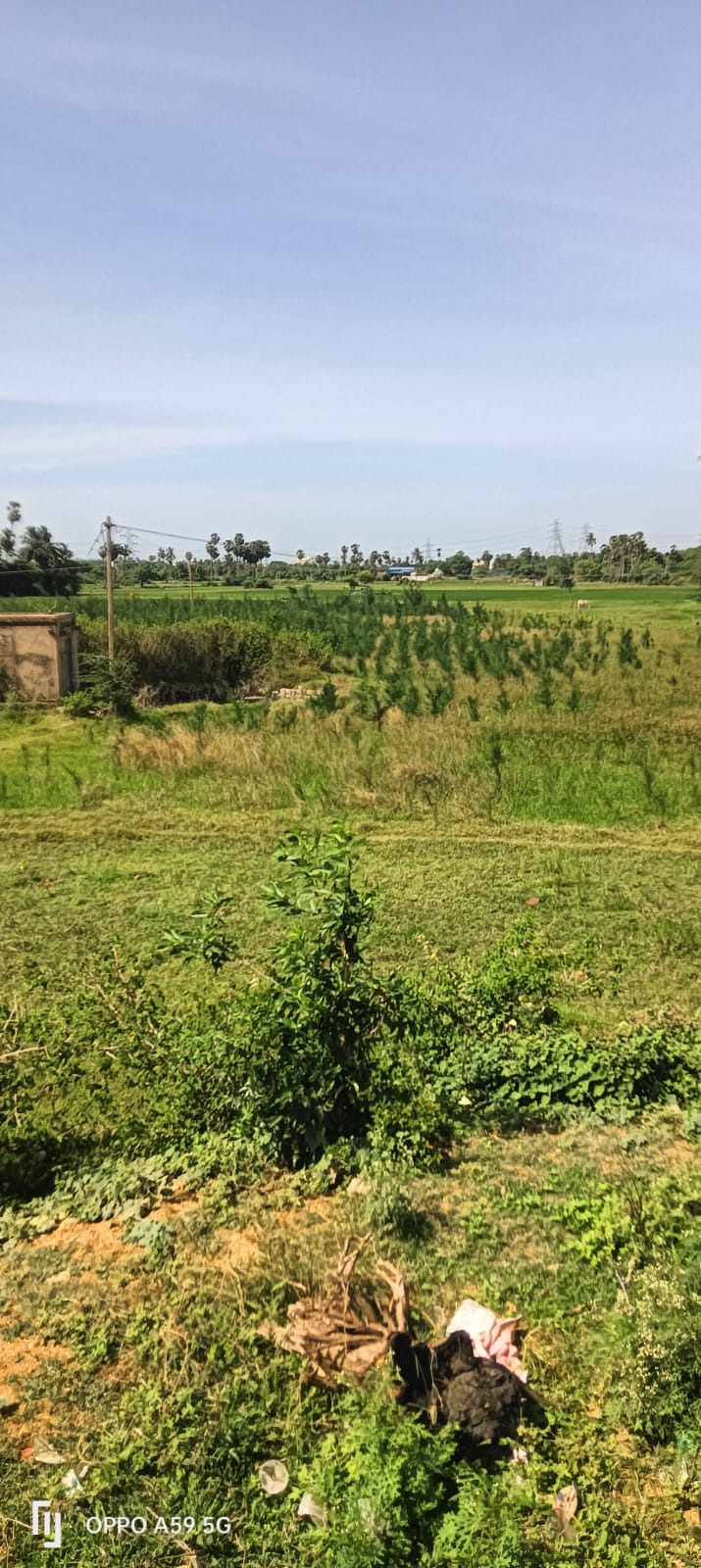 Agriculture land