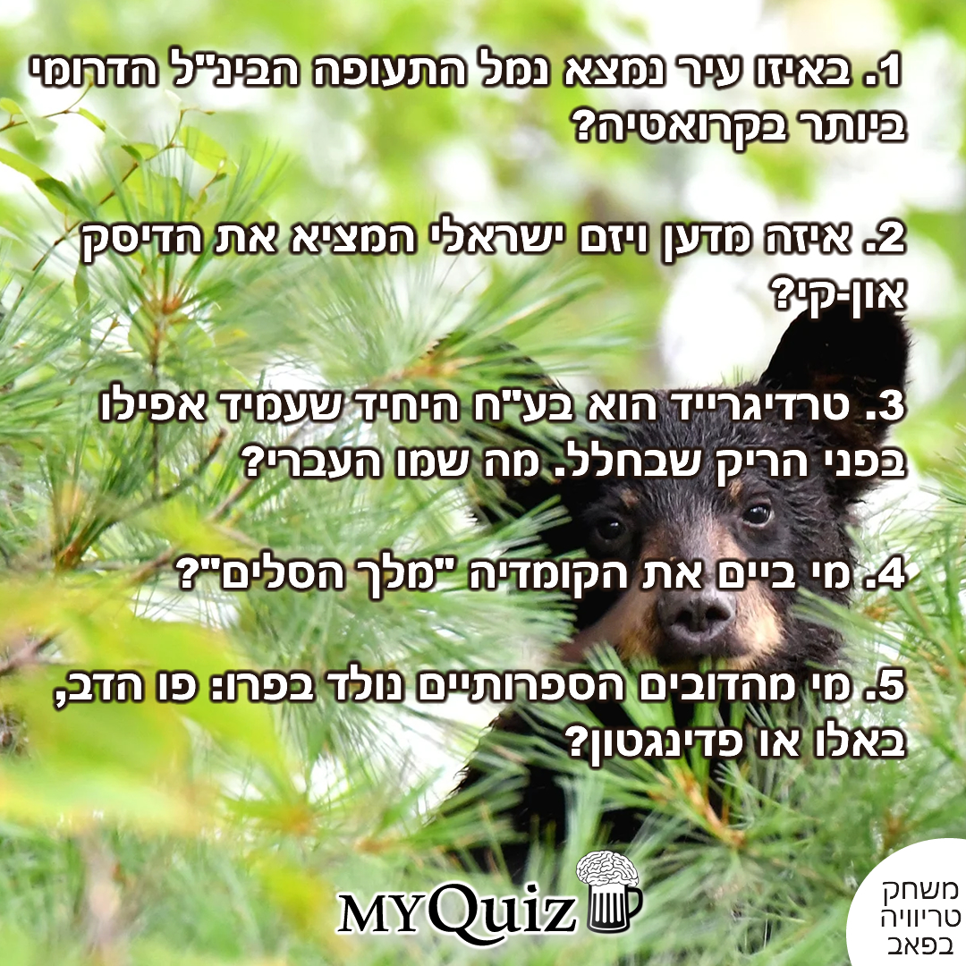 חידון הדובים
