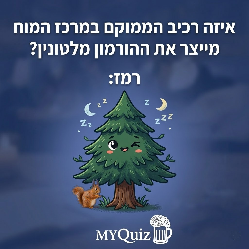 חידה