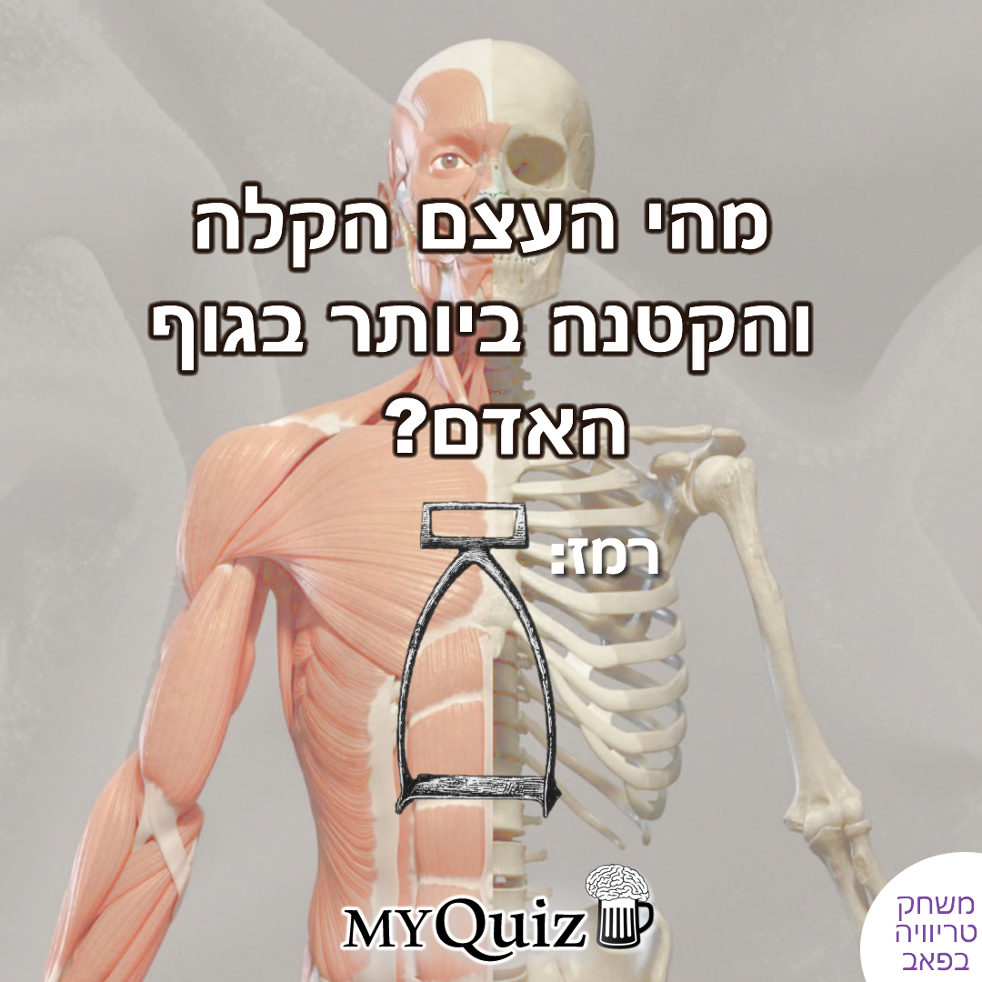 חידה