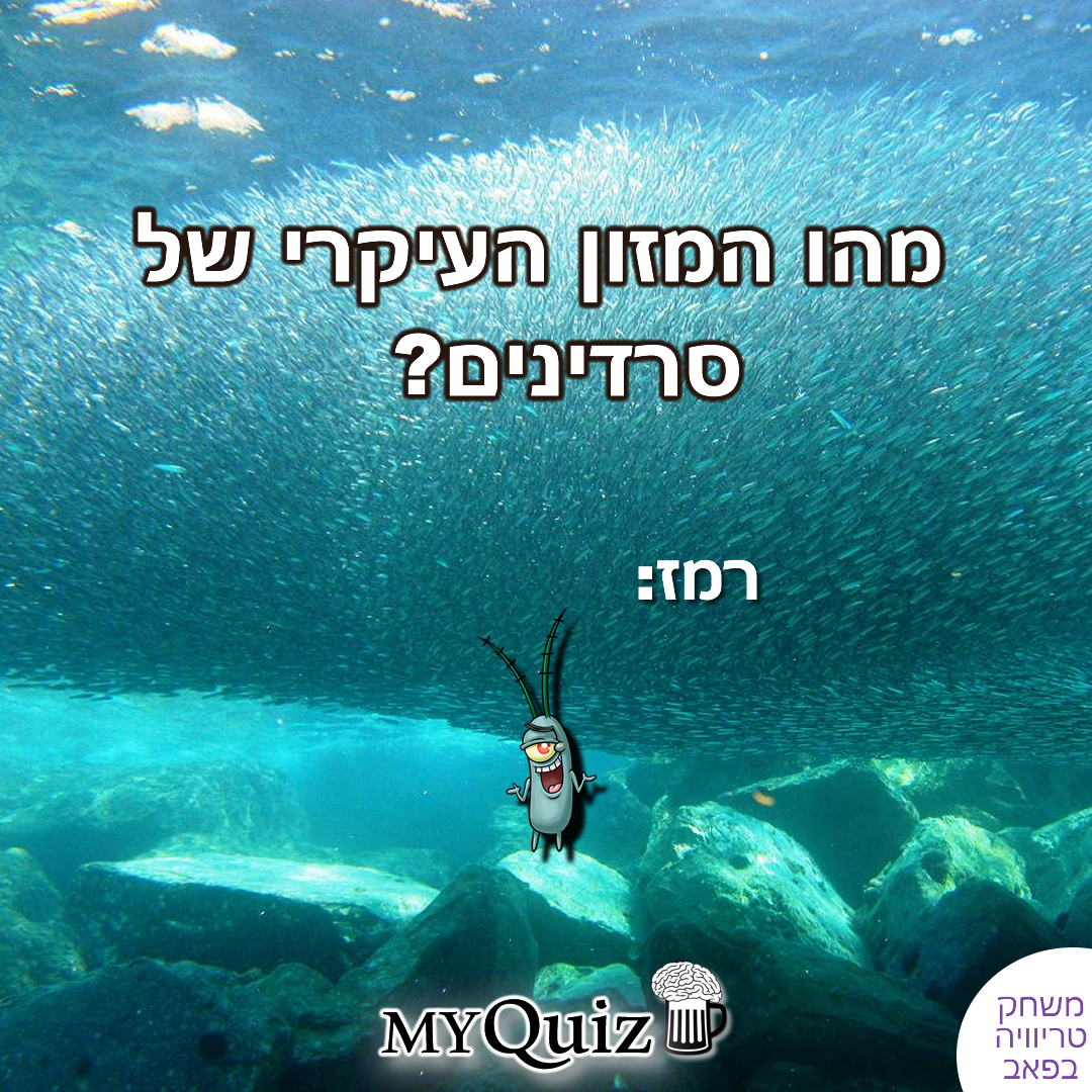 חידה