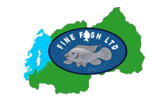 FINE FISH LTD logo