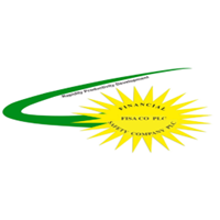 FINANCIAL SAFETY COMPANY(FISA CO) PLC logo