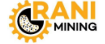 RANI Group logo