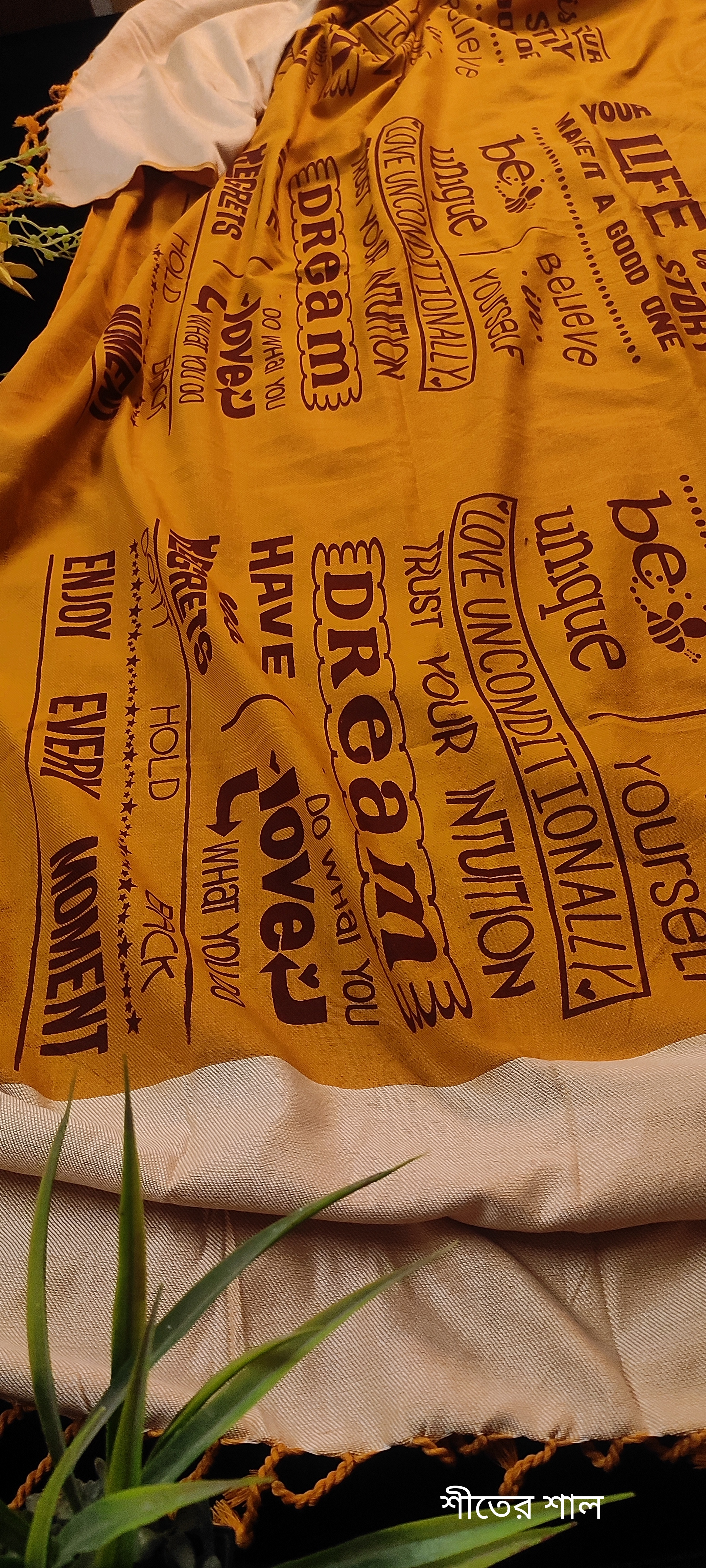 শীতের শাল 