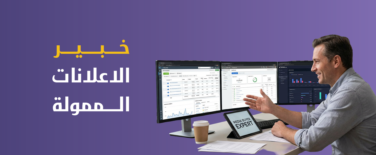 خبير إعلانات ممولة (ميديا بير)