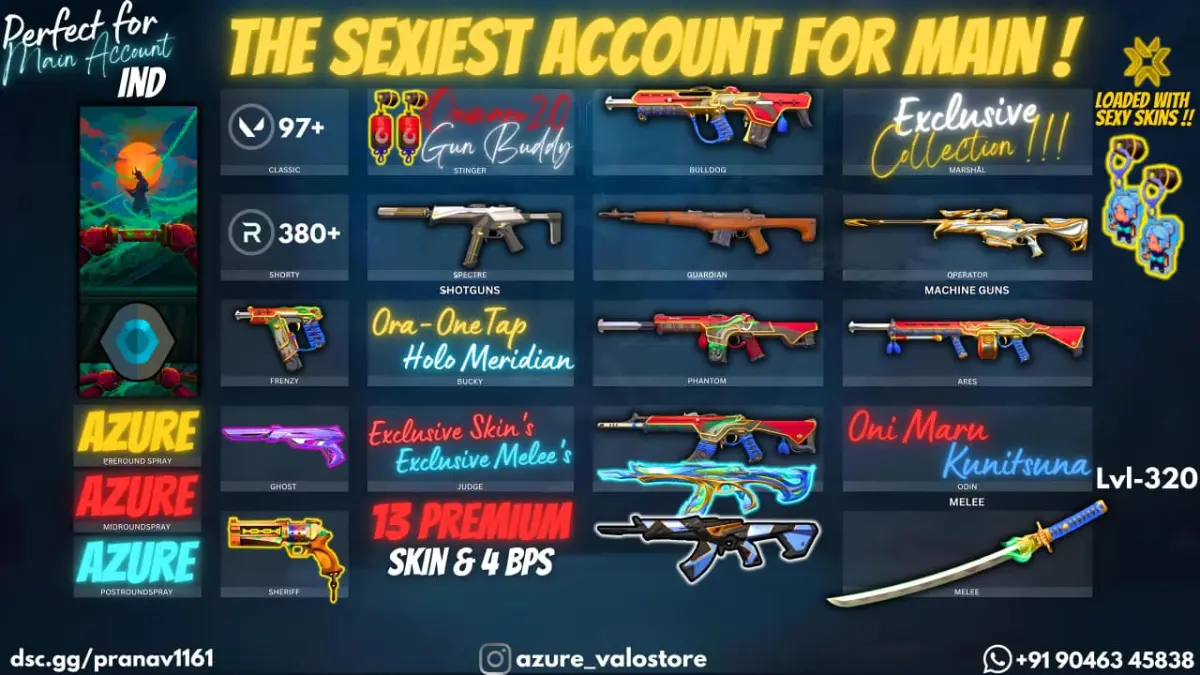 ⭐ **13 PREMIUM SKINS + 4 BPS** ⭐