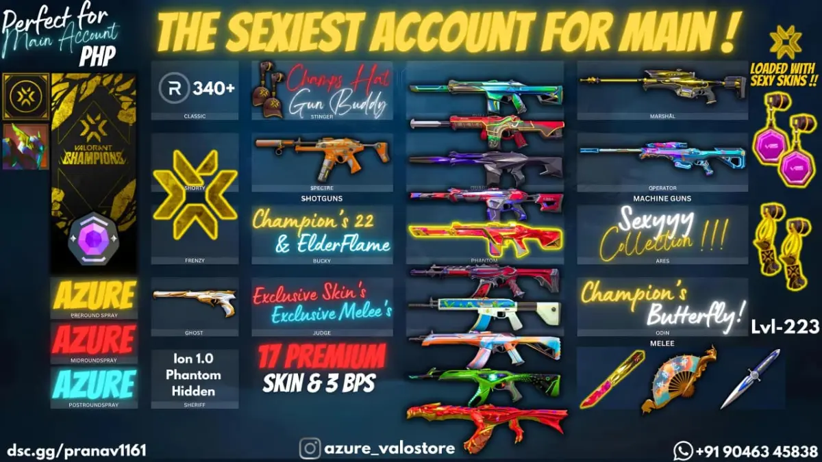 ⭐ **17 PREMIUM SKINS + 3 BPS** ⭐