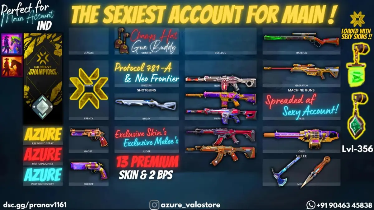 ⭐ **13 PREMIUM SKINS + 2 BPS** ⭐