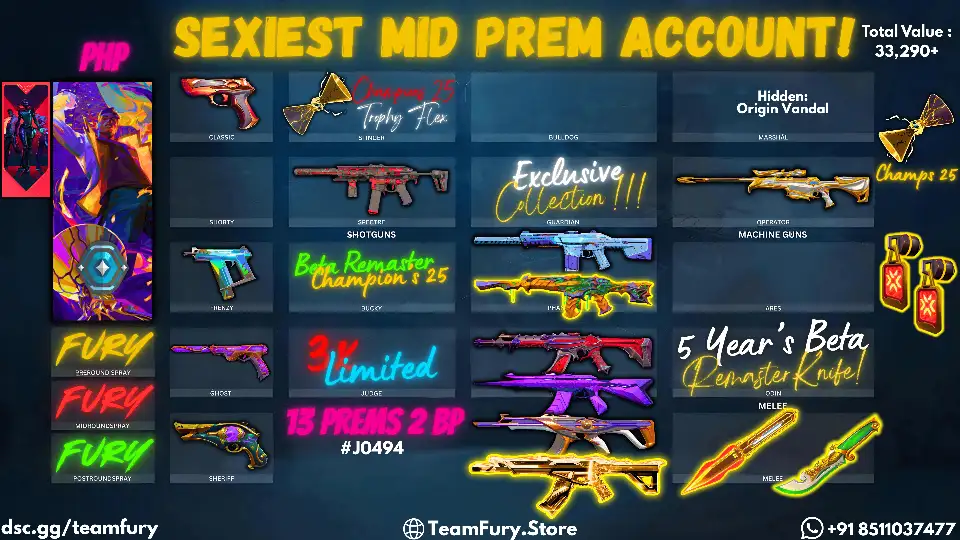 13 Premium Skins With 3 LIMITED (CHAMPS 25 & BETA)