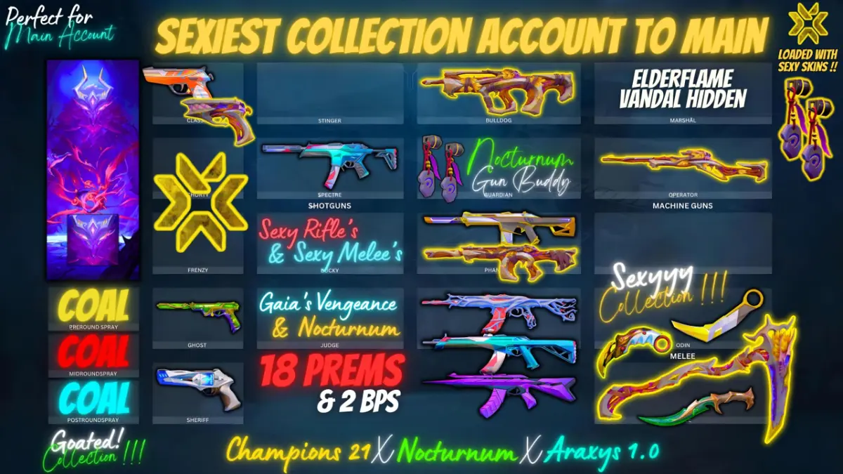 18 skin account with RAREST CHAMPS 21 karambit