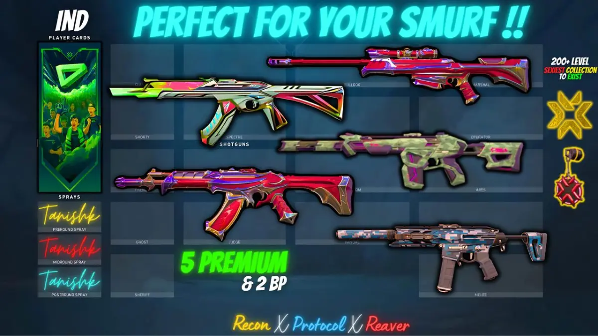 5 Premium Skins | Reaver Vandal + SOL Vandal + Protocol Phantom