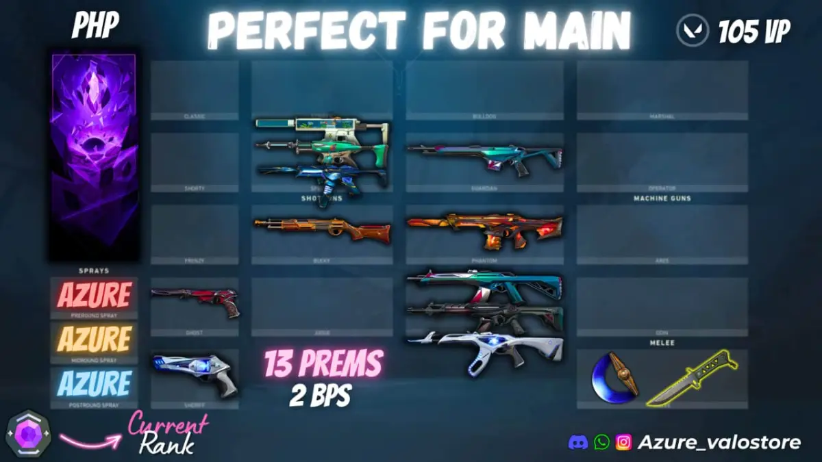 ⭐ **13 PREMIUM SKINS + 2 BPS** ⭐