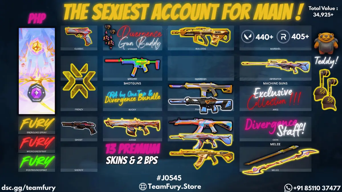 13 Premium Skins With Divergence Bundle & Friends