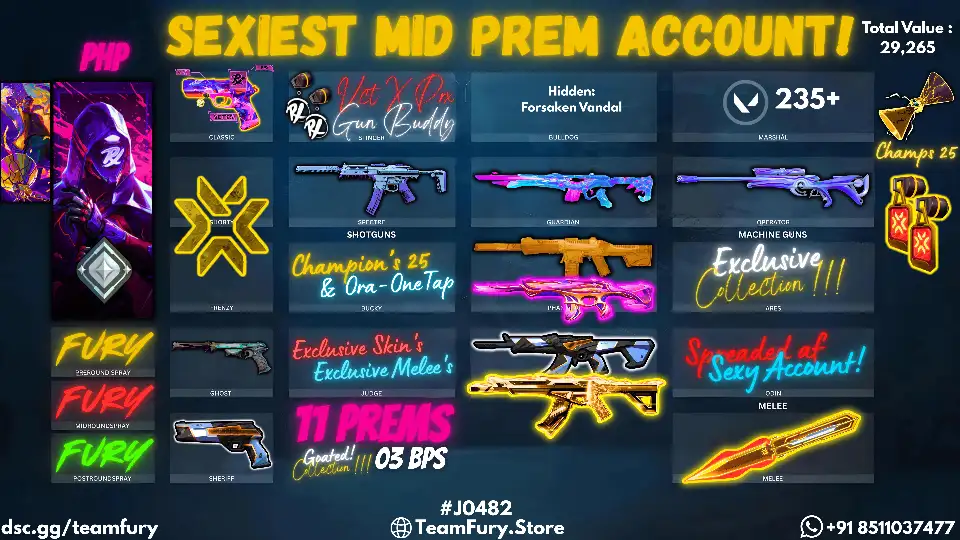 11 Premium Skins With CHAMPIONS 25 Bundle and VCT