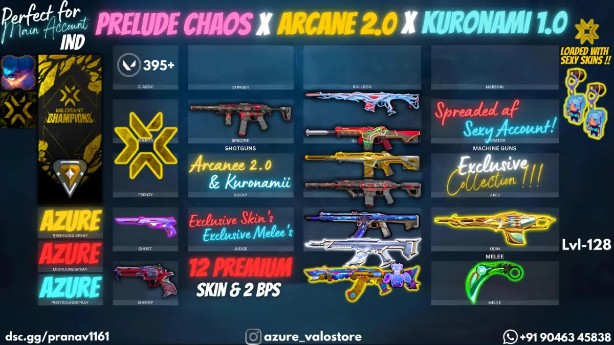 ⭐ **12 PREMIUM SKINS + 2 BPS** ⭐
