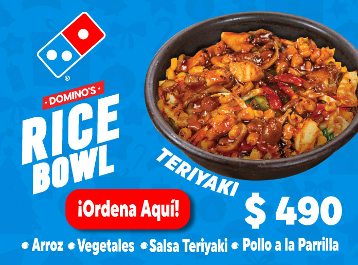 Teriyaki Rice Bowl image