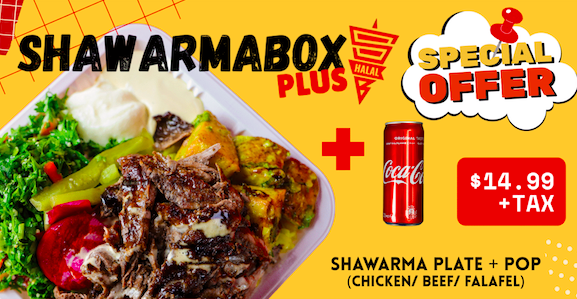 Shawarma Plate + Pop image