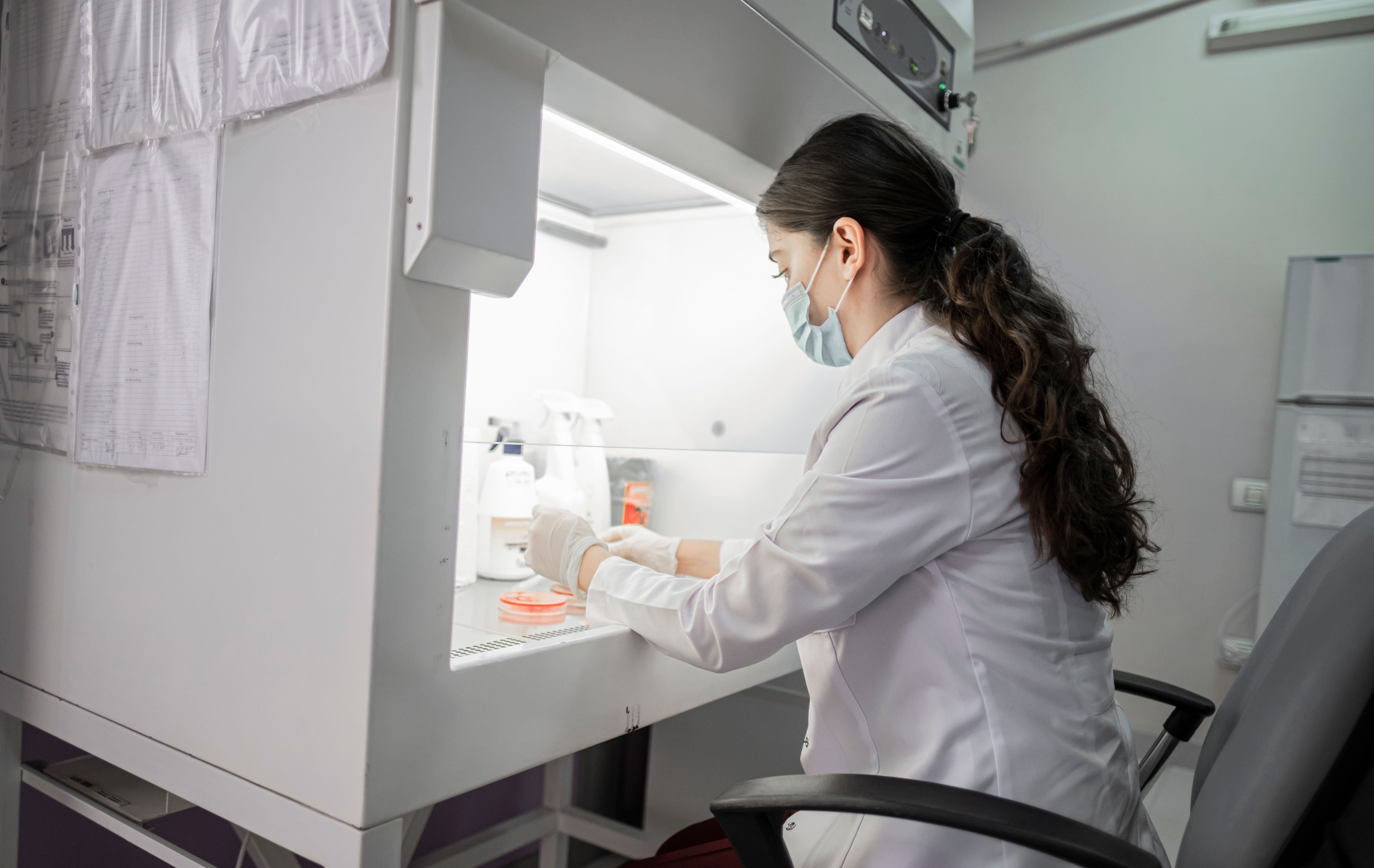Análisis de patógenos en laboratorio de microbiología alimentaria
