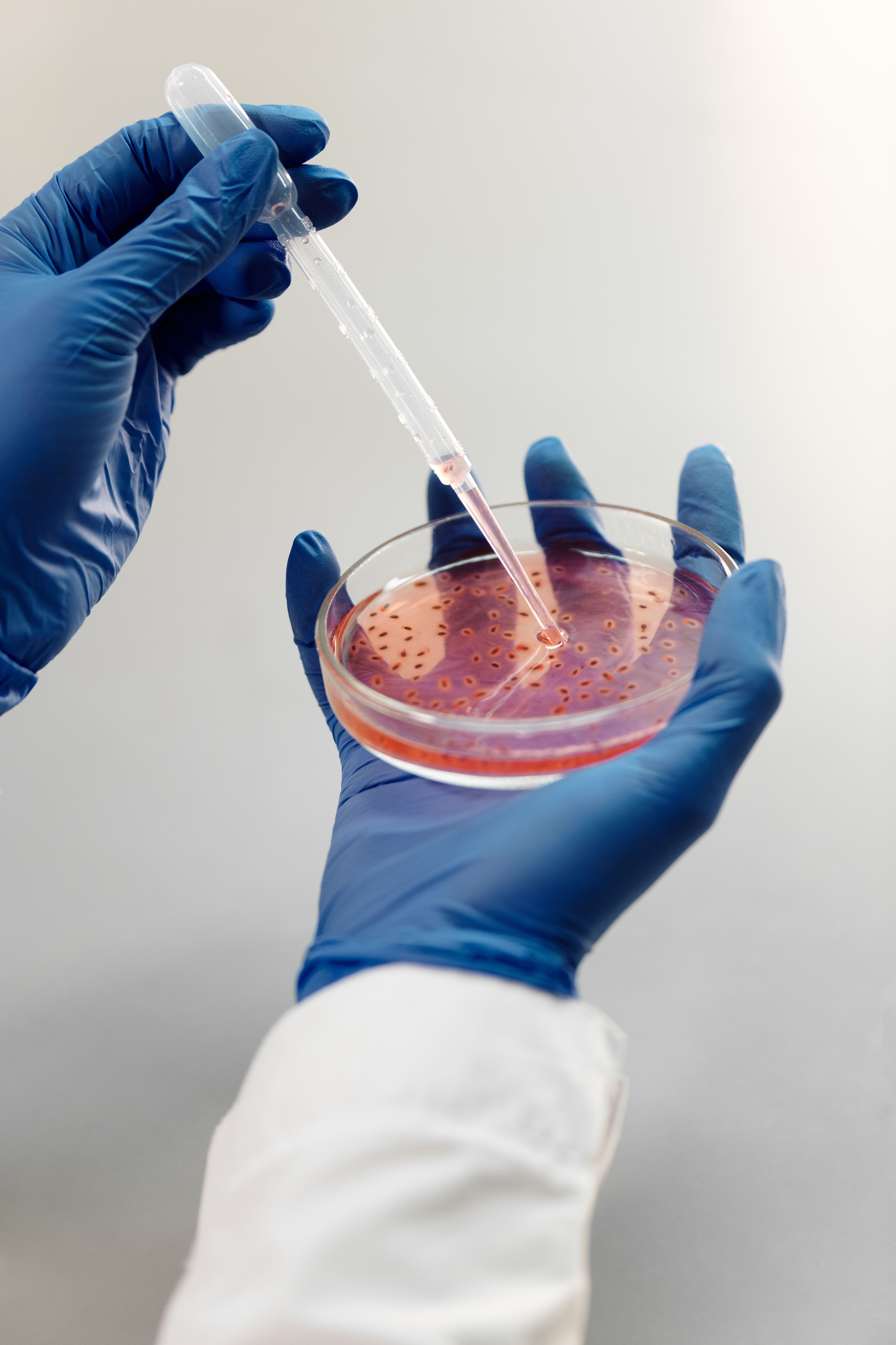 Laboratorio de análisis microbiológico de alimentos