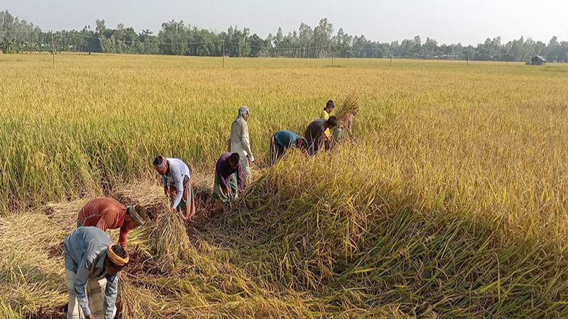 দেশে ৬০ শতাংশ কৃষি জমির সর্বোচ্চ ব্যবহার জরুর :ভূমি সচিব