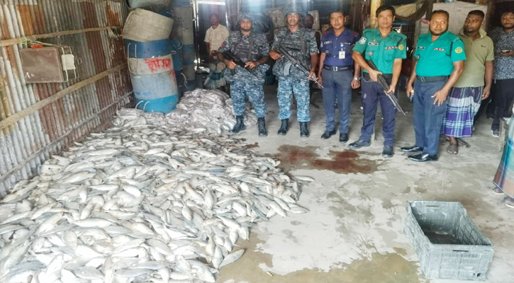 চট্টগ্রামে আড়াই হাজার কেজি মা ইলিশ জব্দ