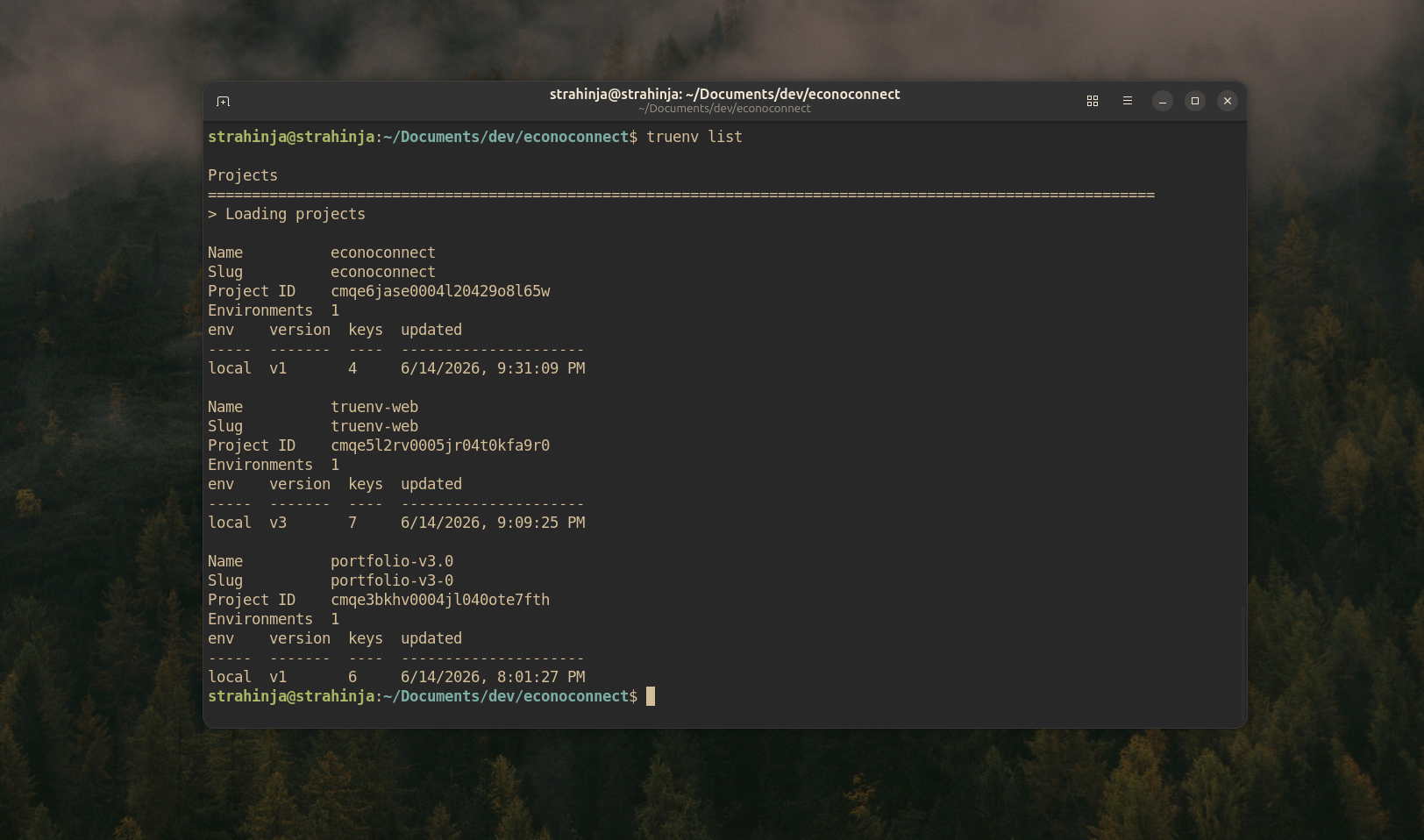 Project image
