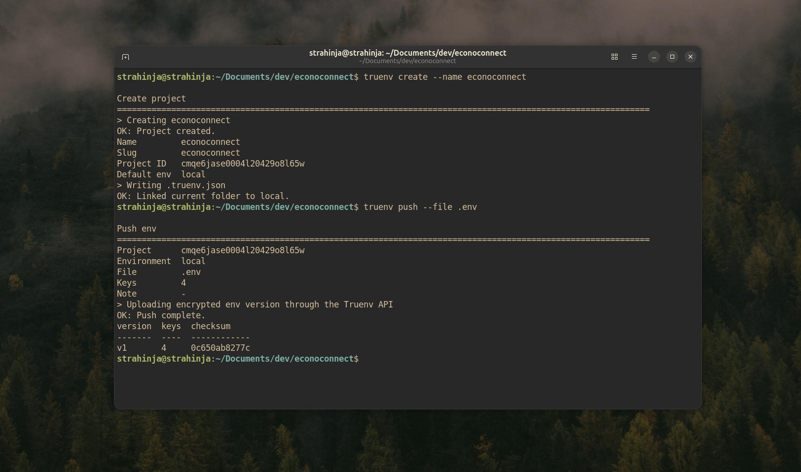 Project image